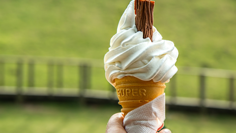 Gris, concepteur -constructeur français de machine à glace Gris, concepteur -constructeur français de machine à glace